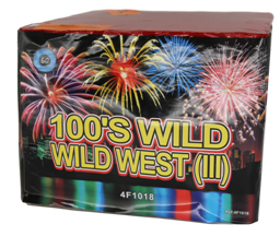 Bateria 100 WILD WILD WEST(ll)